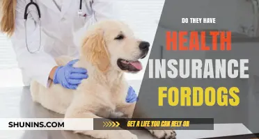Do Dogs Need Health Insurance? Exploring Pet Coverage Options