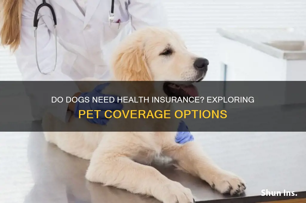 do they have health insurance fordogs