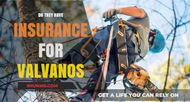 Do They Have Insurance for Valvanos? Exploring Coverage Options and Benefits