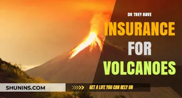 Volcanic Eruption Insurance: Do Policies Cover Natural Disaster Risks?