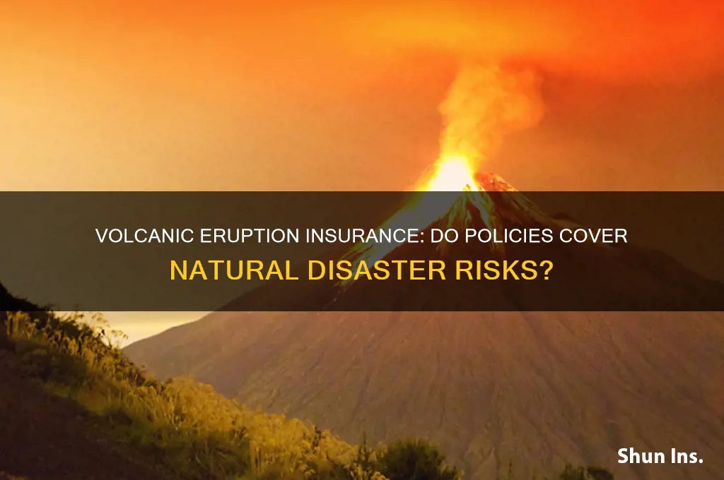 do they have insurance for volcanoes