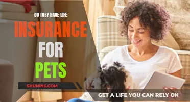 Life Insurance for Pets: Is It Worth It?