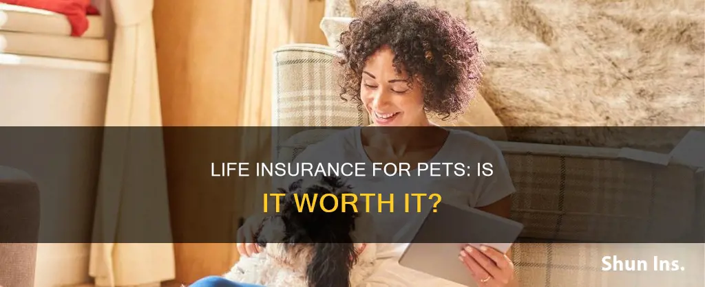 do they have life insurance for pets