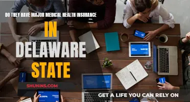 Medical Insurance in Delaware: Major Health Coverage?