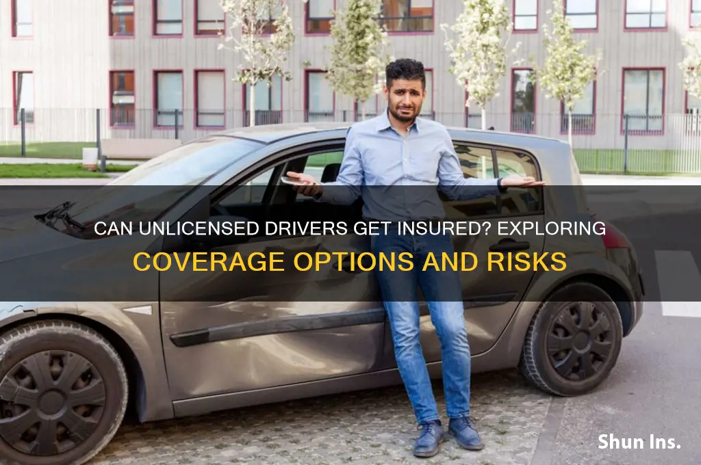 do they insure unlicensed drivers