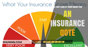 Does Your Credit Score Impact Your Insurance Quote? What to Know