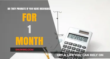 Understanding Prorated Insurance: One-Month Coverage Explained