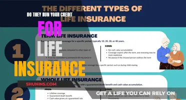 Credit Checks for Life Insurance: What You Need to Know