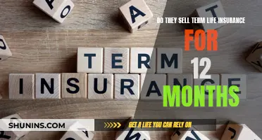 Term Life Insurance: 12-Month Policies Explained