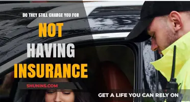 Still Charged for No Insurance? Understanding Penalties and Fees Today