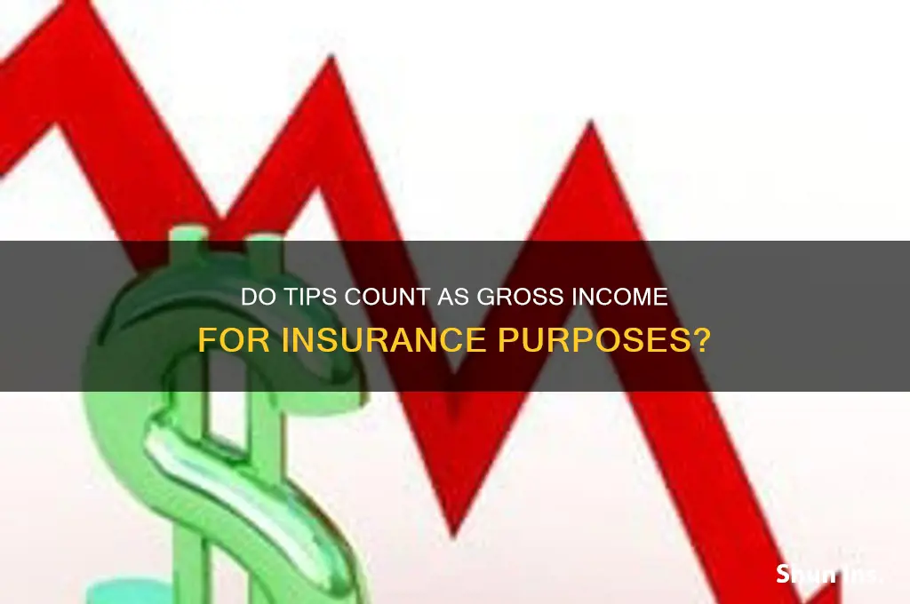 do tips count as gross income for insurance