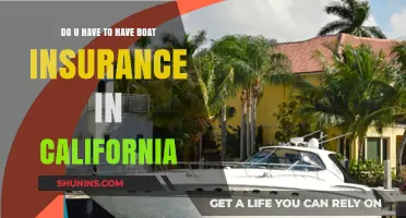 Is Boat Insurance Mandatory in California? What You Need to Know