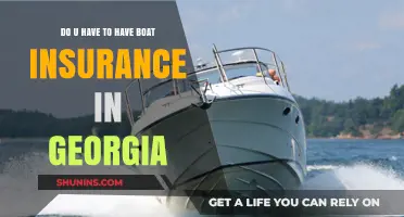 Is Boat Insurance Required in Georgia? What You Need to Know