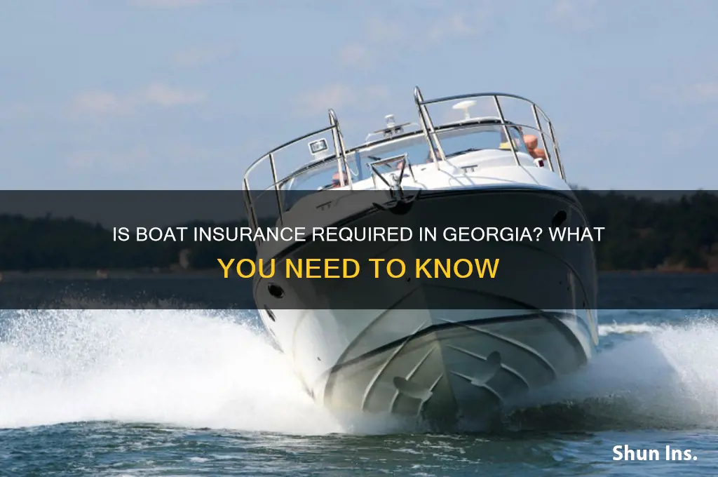do u have to have boat insurance in georgia