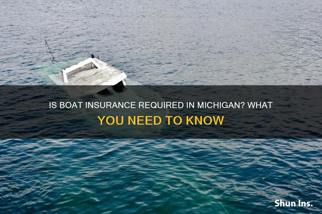 do u have to have boat insurance in michigan
