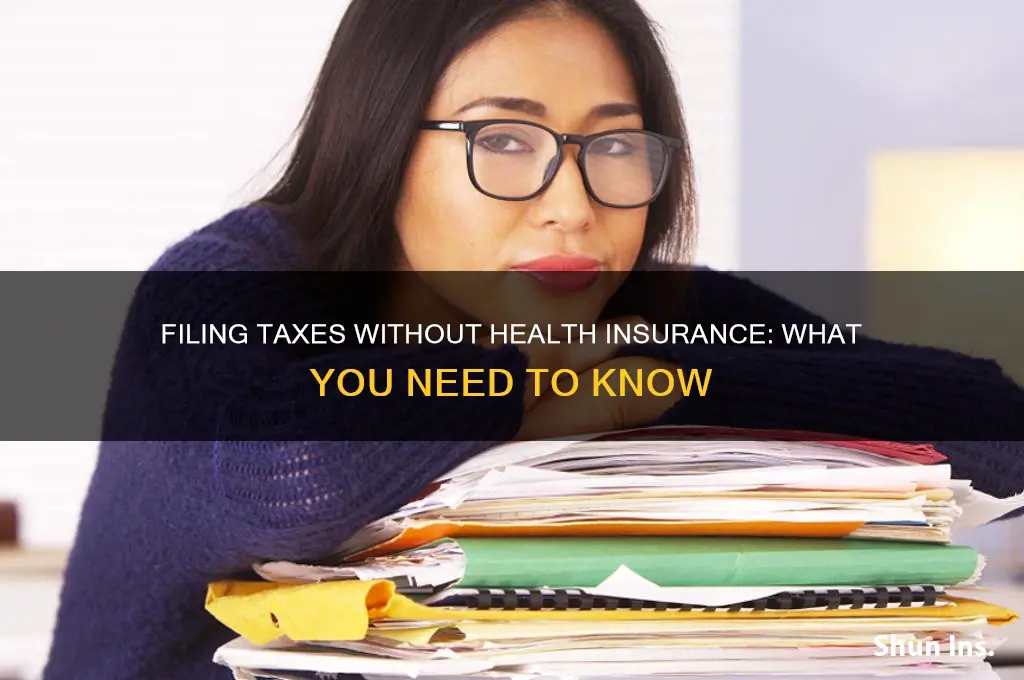 do u have to have health insurance to file taxes