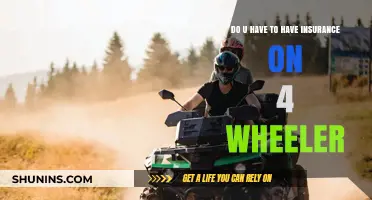 Do You Need Insurance for Your 4-Wheeler? Essential Coverage Explained