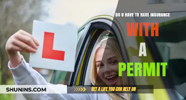 Do You Need Insurance with a Learner's Permit? Key Facts
