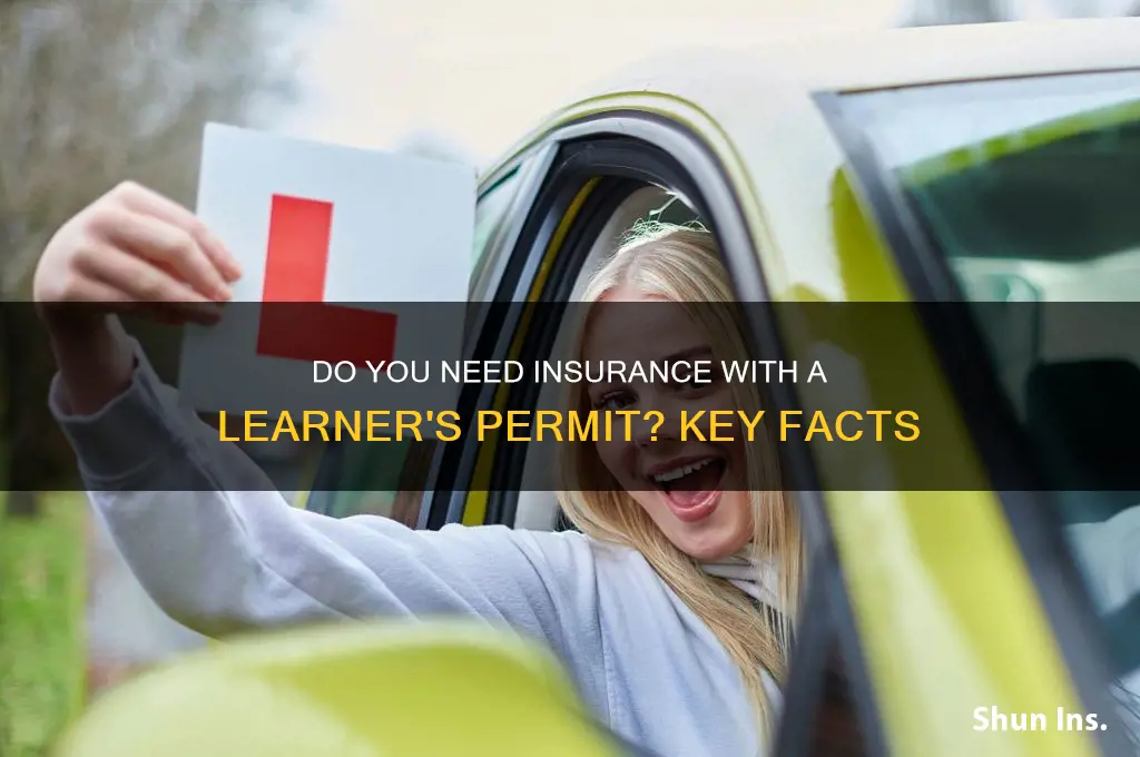 do u have to have insurance with a permit