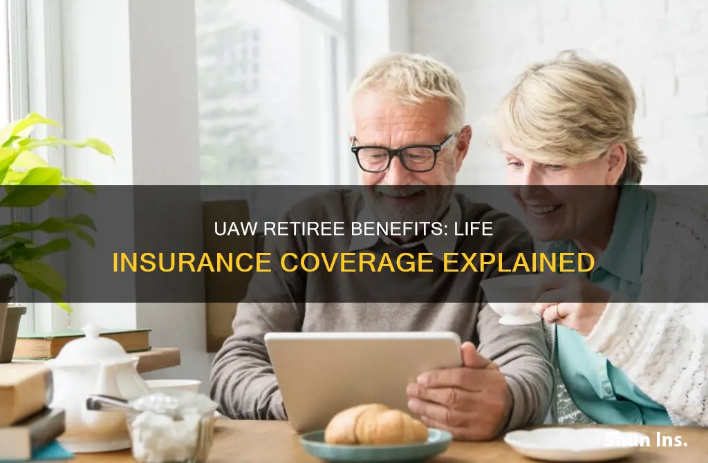 do uaw retirees have life insurance