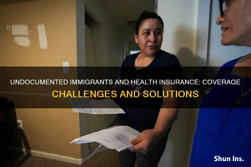 do undocumented immigrants have health insurance