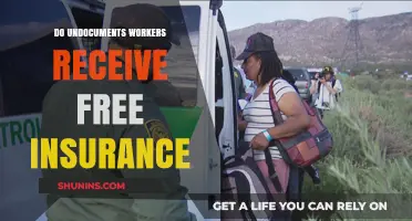 Undocumented Workers and Free Insurance: What You Need to Know