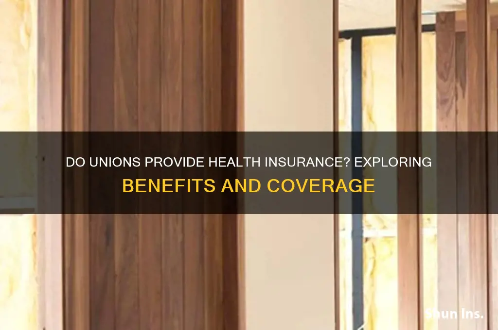 do unions provide health insurance