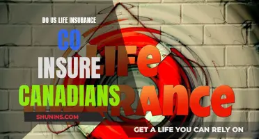 Life Insurance for Canadians: What US Companies Offer