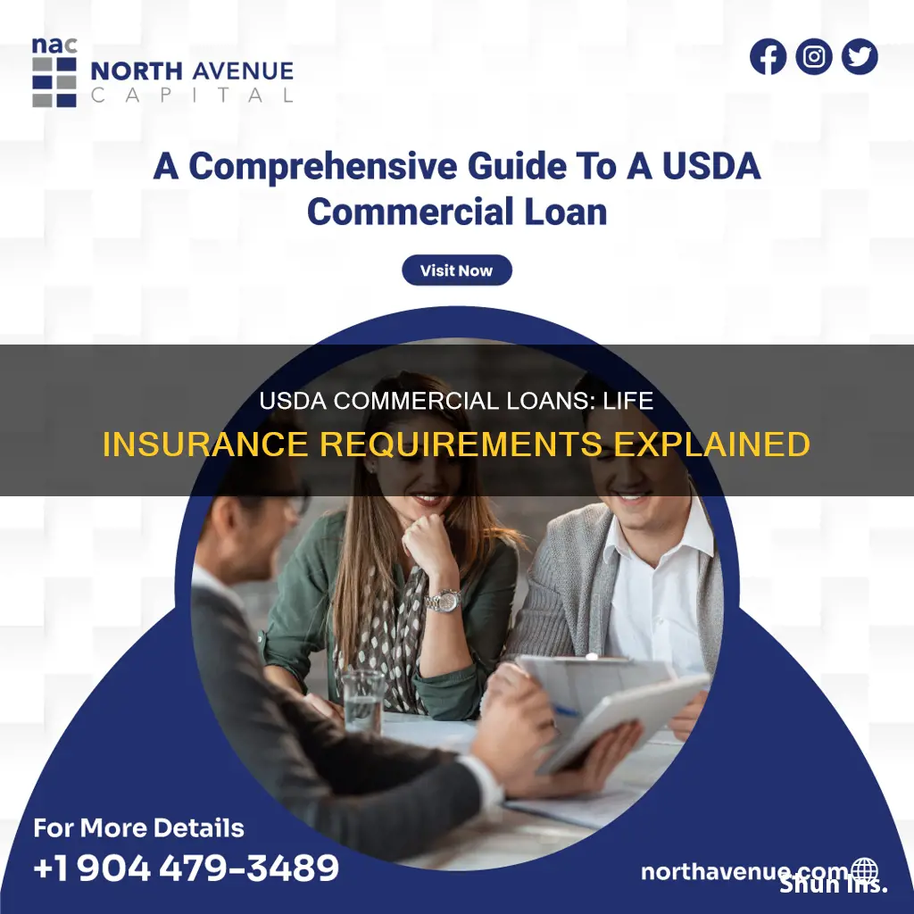 do usda commercial loans require life insurance