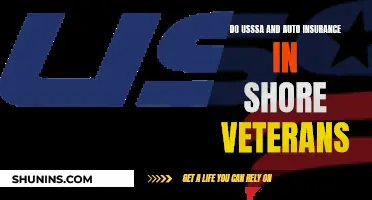 USSSA and Auto Insurance: Shore Veterans' Unique Needs