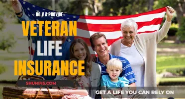 VA Life Insurance: What Veterans Need to Know