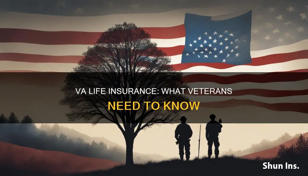 do v a provide veteran life insurance