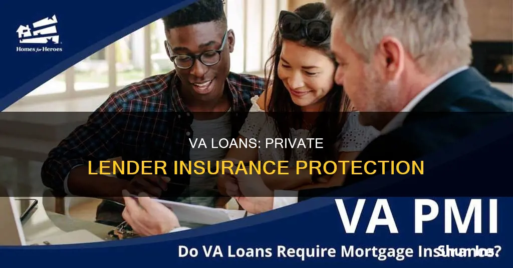 do va loans insure private lenders