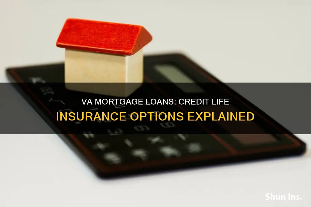 do va mortgage loans have credit life insurance