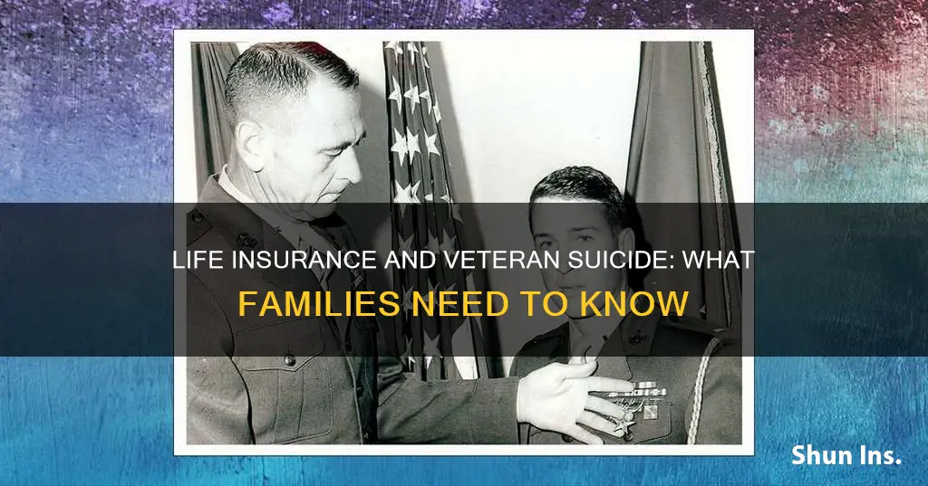 do veterans get life insurance in suicide cases