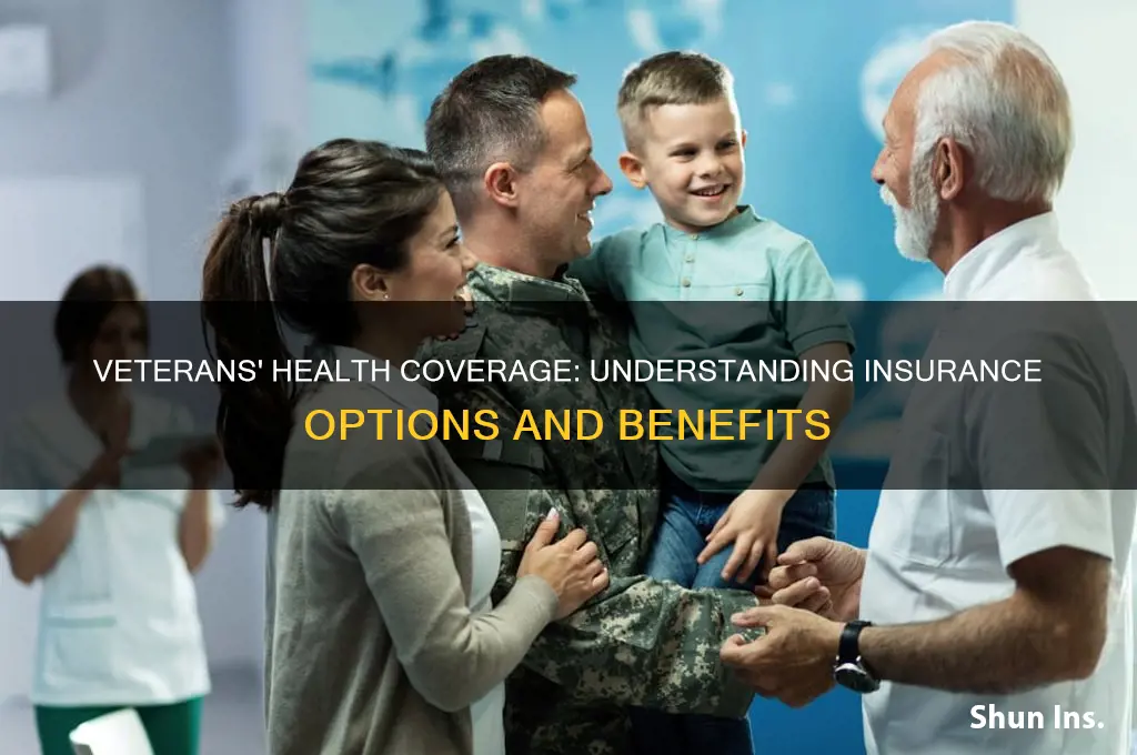 do veterans have health insurance