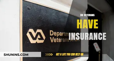 Veterans' Health Coverage: Understanding Insurance Options for Those Who Served