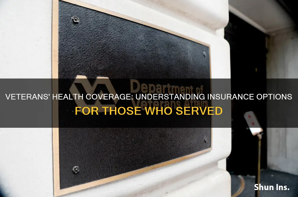do veterans have insurance