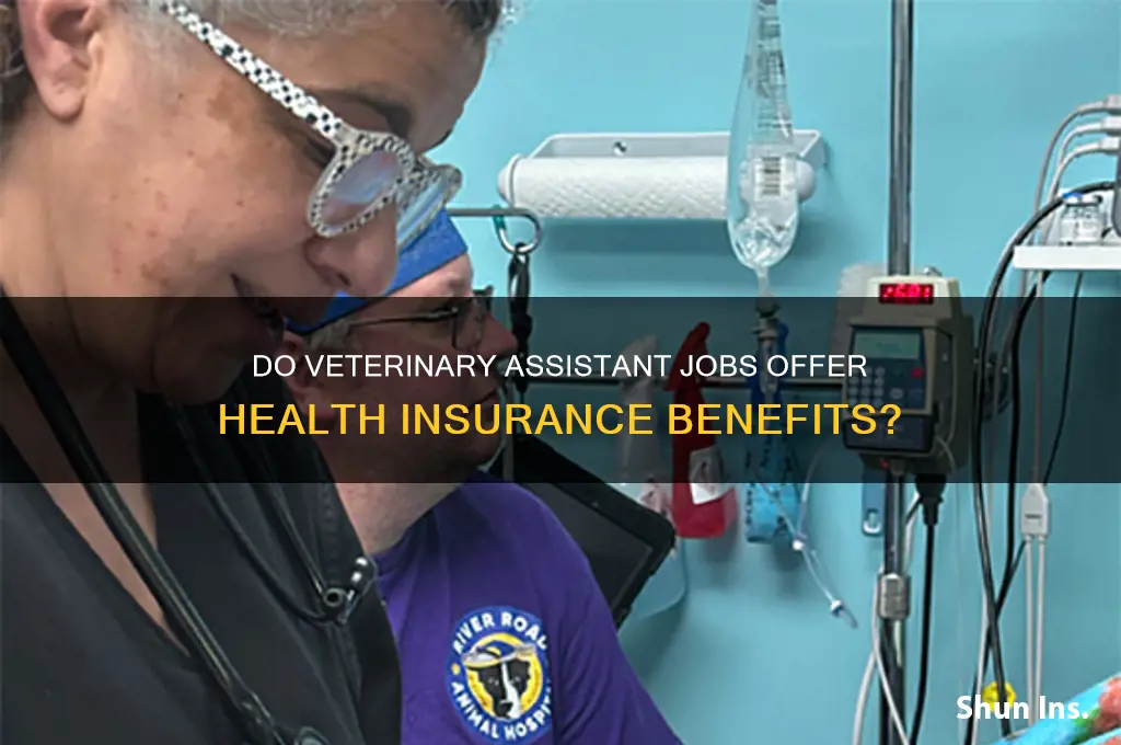 do veterinary assistan jobs provide health insurance