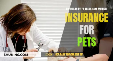 Vets in Tyler, Texas: Using Medical Insurance for Pets?