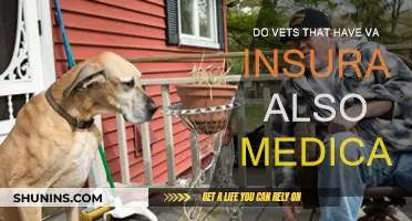 Vets' Healthcare: Medicare and VA Insurance Coverage