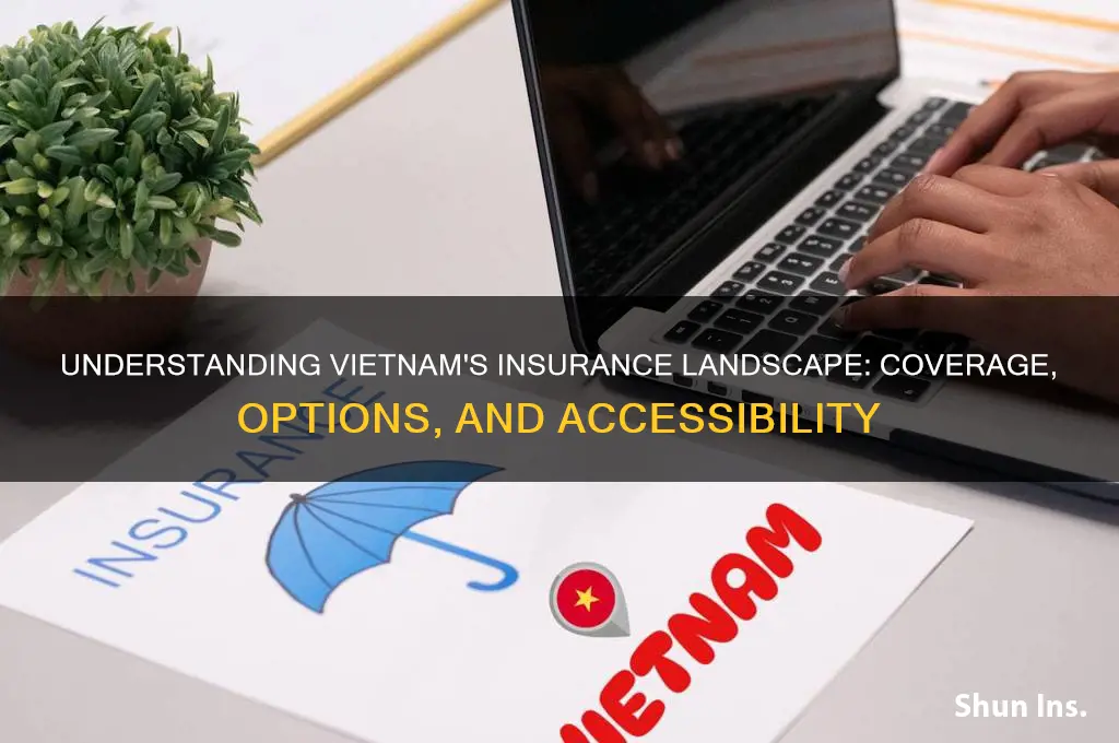 do vietnam have insurance