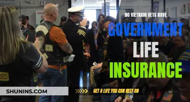 Vietnam Vets' Government Life Insurance: What's Covered?