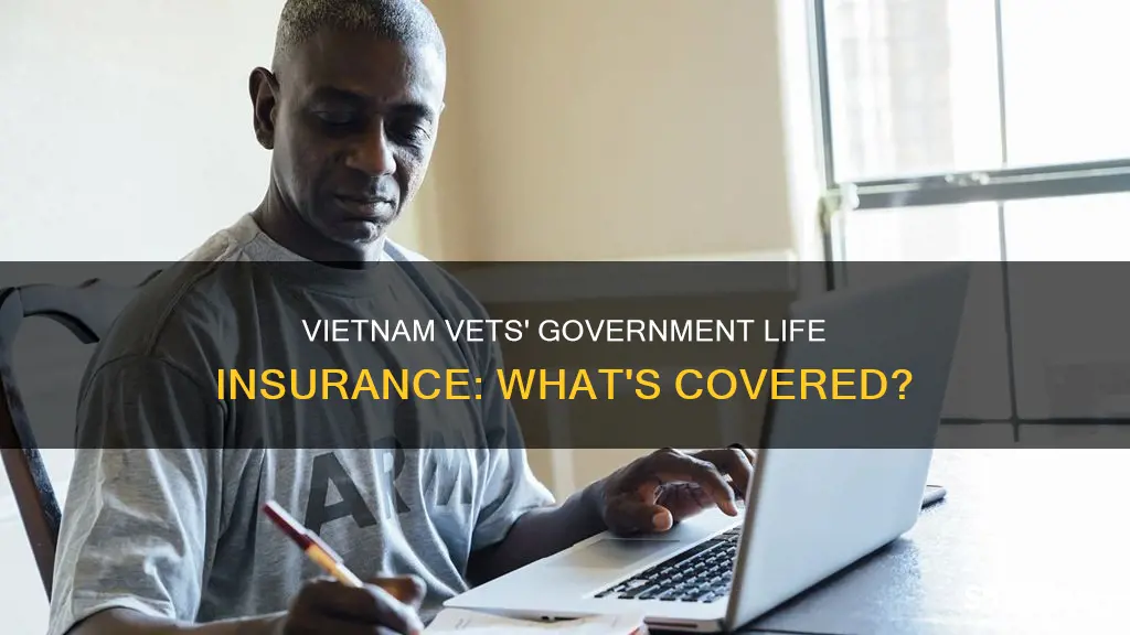 do vietnam vets have government life insurance