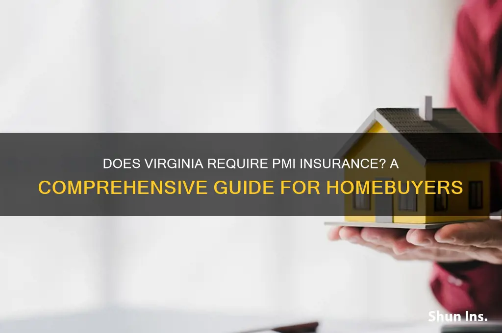 do virginia have pmi insurance