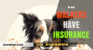 Do Wag Walkers Have Insurance? Understanding Coverage for Dog Walkers