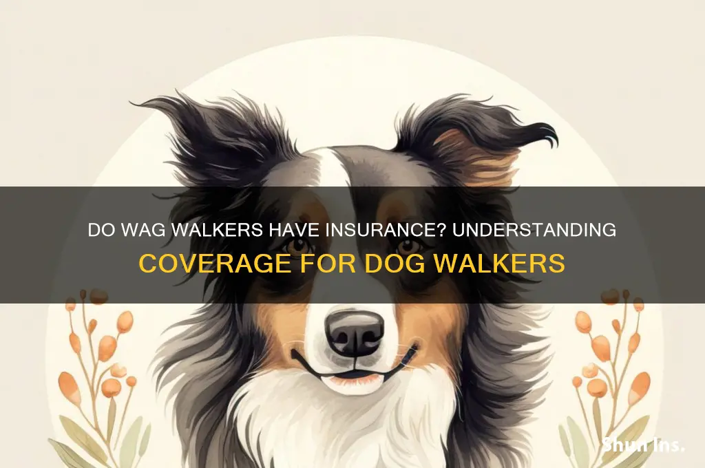 do wag walkers have insurance