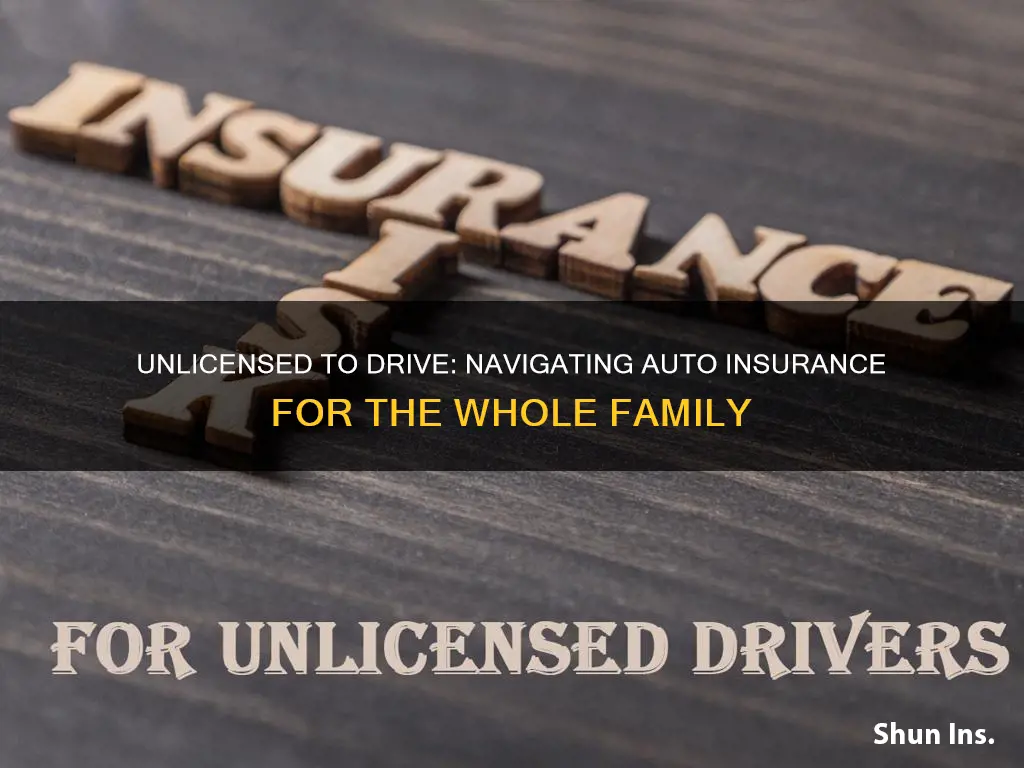 do we put unlicensed family members under auto insurance