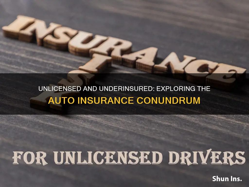 do we put unlicensed under auto insurance