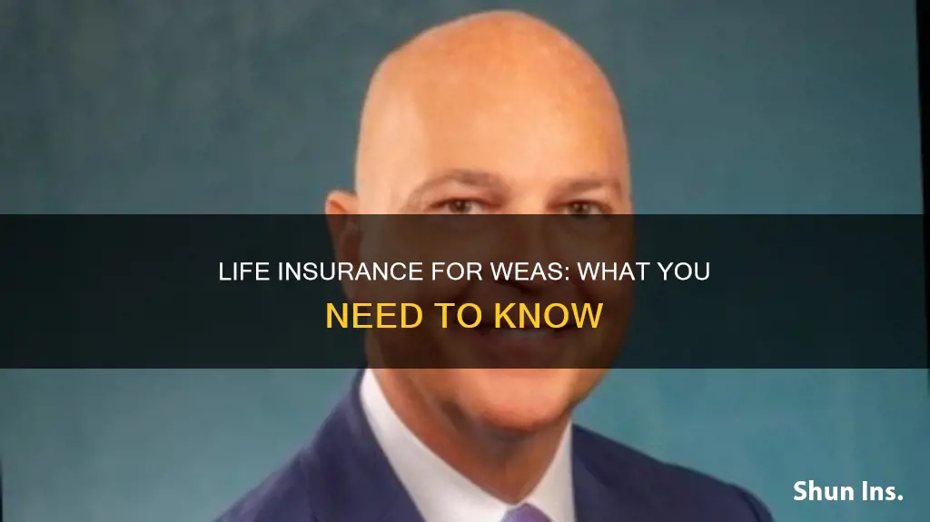 do wea employees get life insurance